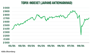 TOPIX-indexet.png