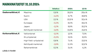 Näkemys-kuva 1-112024.PNG