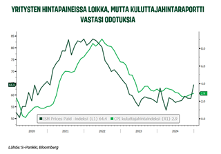 Näkemys-kuva 2-022025.PNG