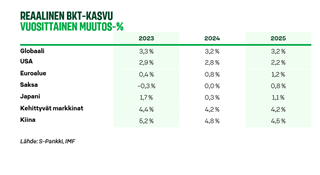 Näkemys-kuva 3-112024.PNG